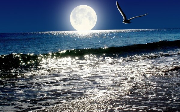 Луна и море