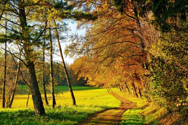 Ранняя осень