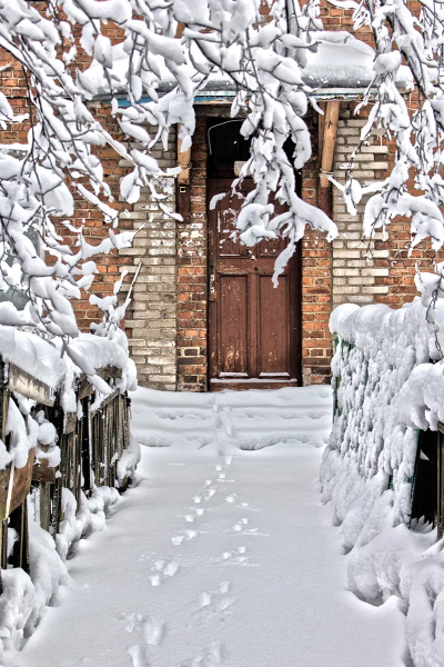 Снег на крыльце