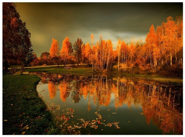 Осень вечер природа