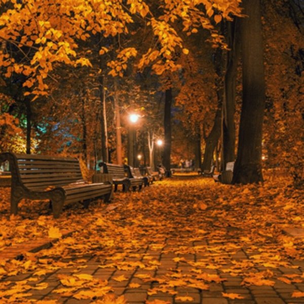 Осенний парк ночью