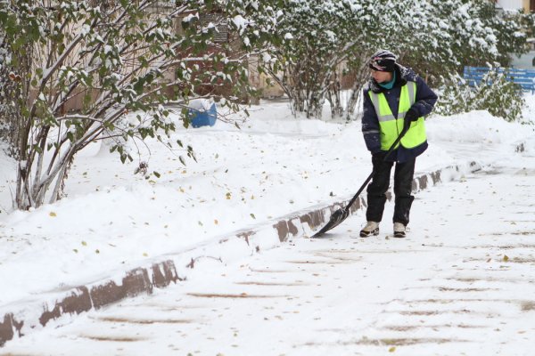 Дворник зима