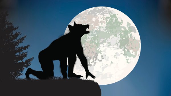 Полнолуние и оборотни