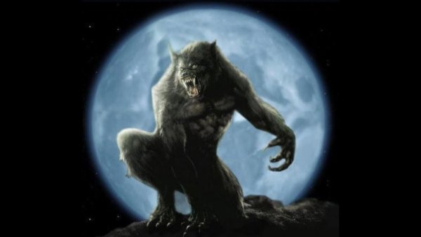 Оборотень воет на луну