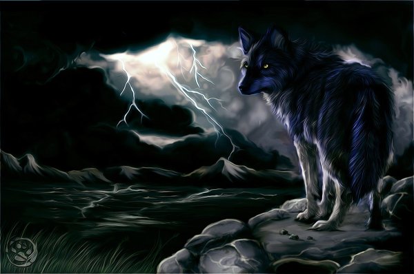 Ночные волки