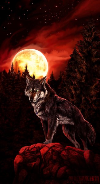 Полнолуние волк