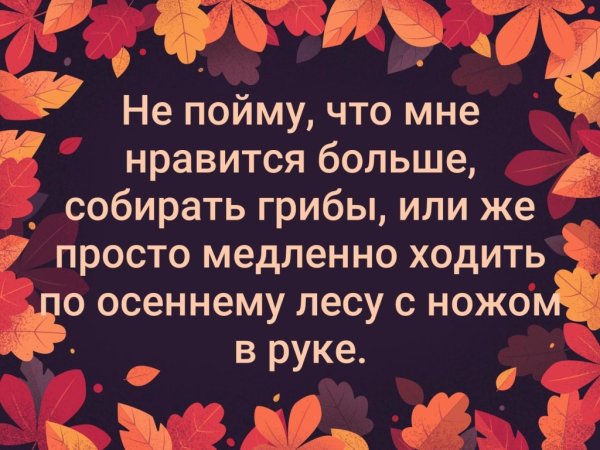 Люблю ходить по лесу с ножом