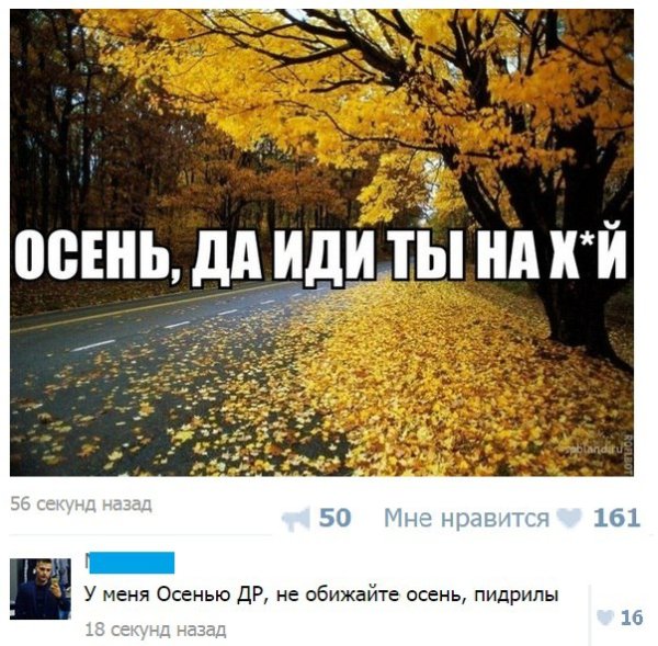 Осенние шутки и приколы