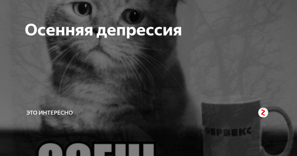 Осенняя депрессия Мем