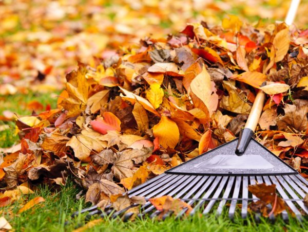 Уборка листвы осенью