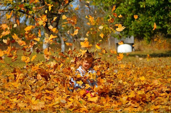 Листопад для детей