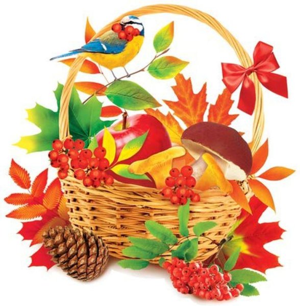 Осенняя корзинка