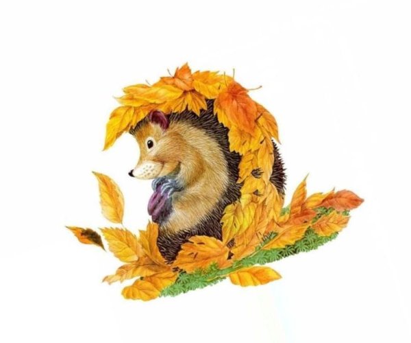 Осенние зверята