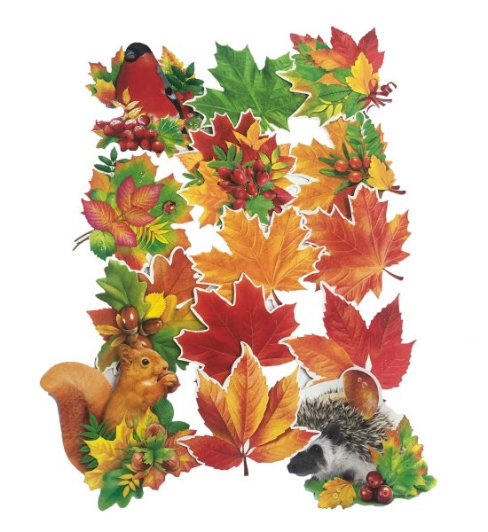 Осенний набор для украшения группы