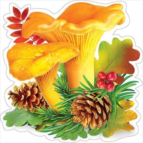 Грибы для детского сада