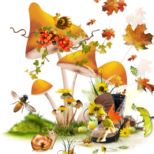 Осенний клипарт на прозрачном фоне
