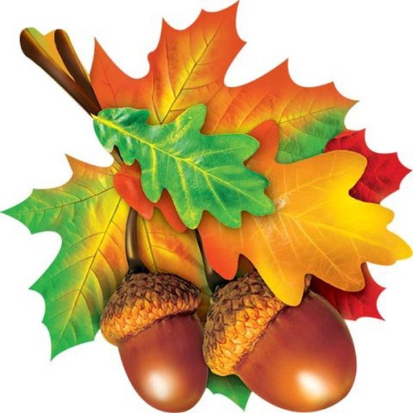 Осенние листья для детского сада