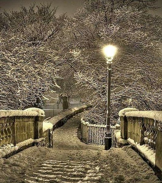 Зимний парк