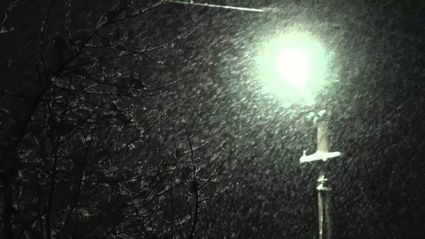 Снег в свете фонаря