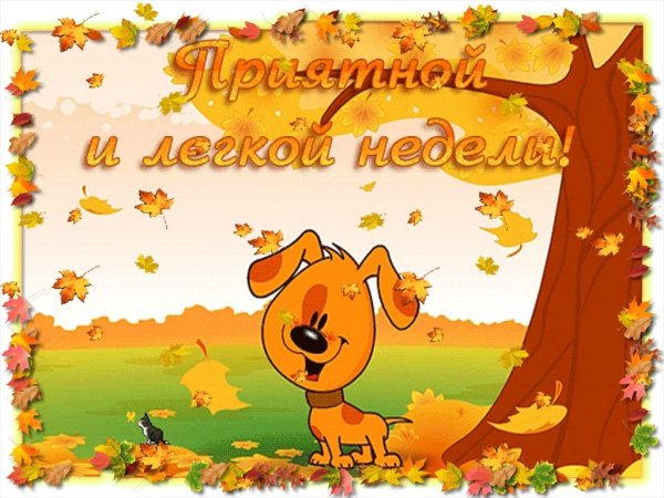 С добрым осенним утром понедельника