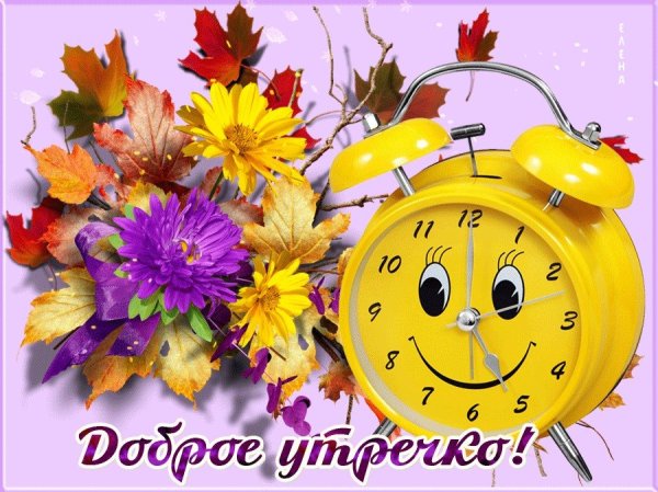 Здравствуйте доброе утро