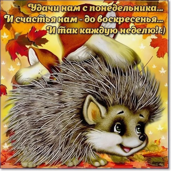 Поздравление с понедельником