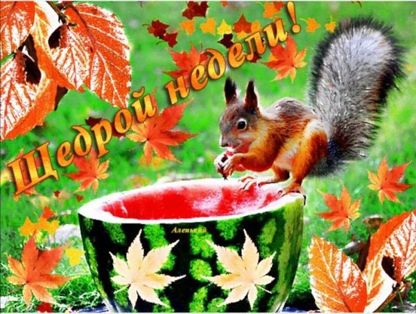 Чудесного понедельника осень