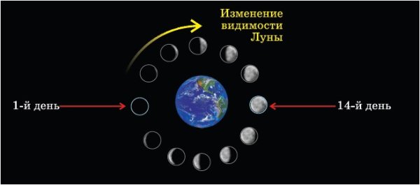 Фазы Луны вокруг земли