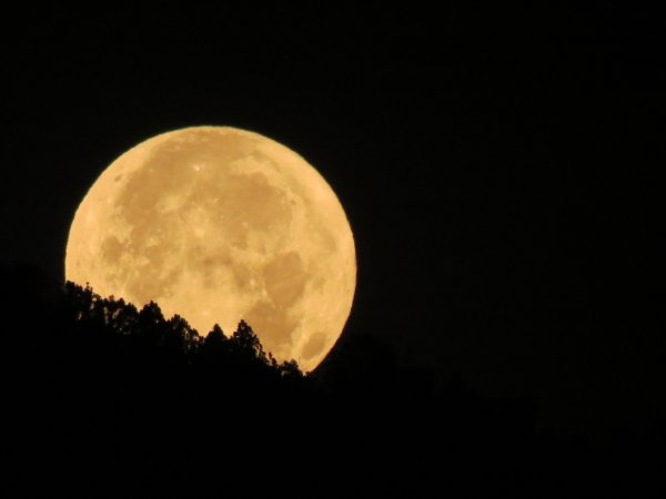 Большая Луна на горизонте