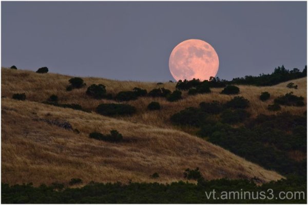 Луна над горизонтом