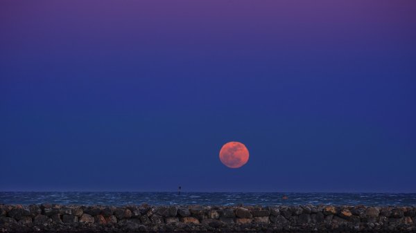 Луна над горизонтом