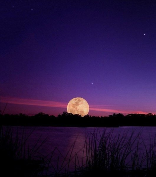 Большая Луна на горизонте