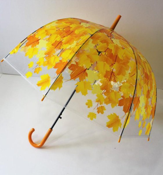 Осенний зонтик
