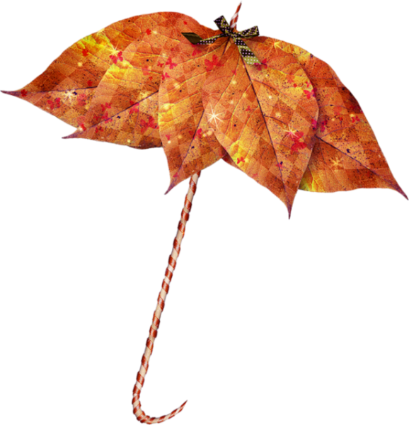 Зонт из осенних кленовых