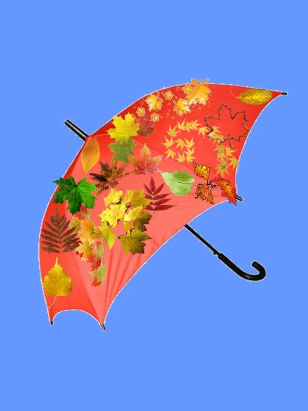 Зонт из листиков