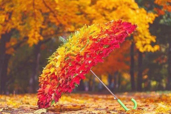 Волшебный зонтик осени