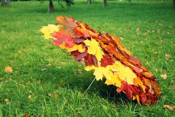 Зонт из кленовых листьев