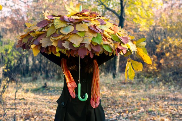 Зонт с осенними листьями