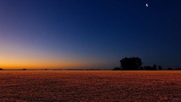 Закат в поле