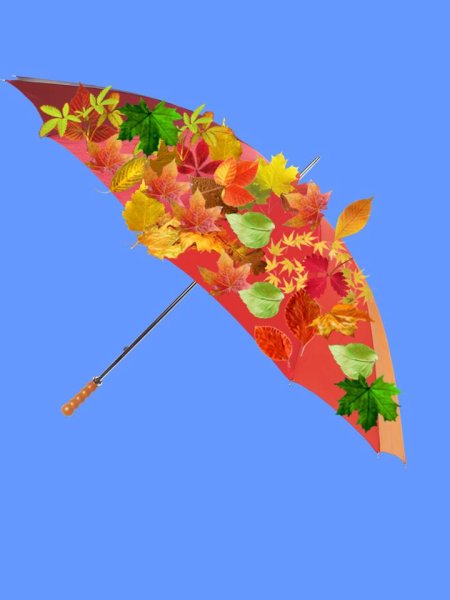 Осенний зонтик