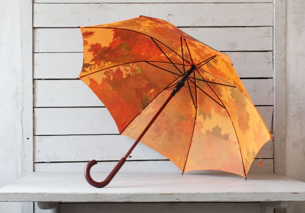 Осень зонтик