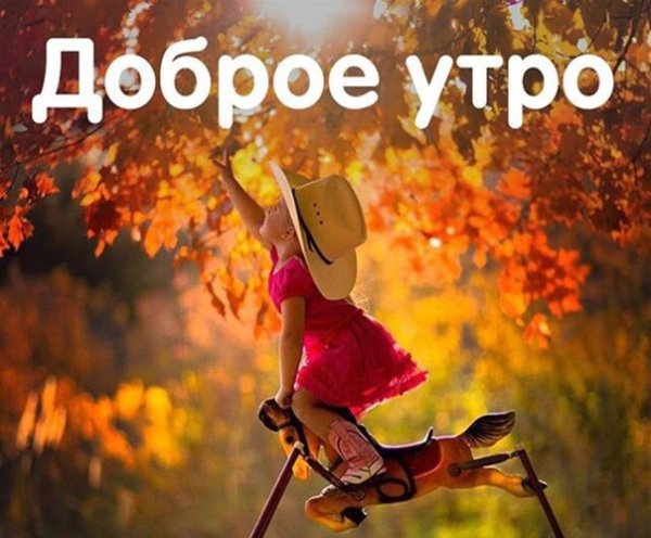 Доброе осеннее утро прикольные