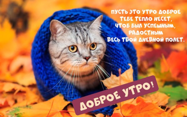 Доброе осеннее утро одевайтесь теплее