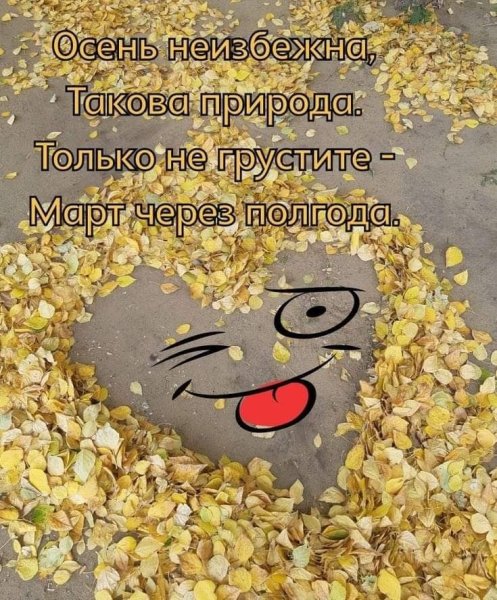 Осенние афоризмы Веселые