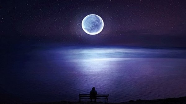 Одиночество под луной