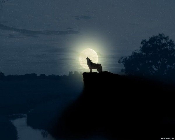 Полнолуние одиночество