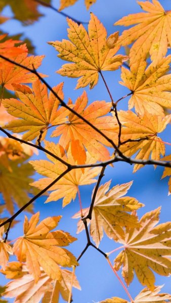 Красивая дождливая осень