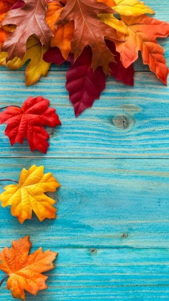 Обои на телефон осень красивые