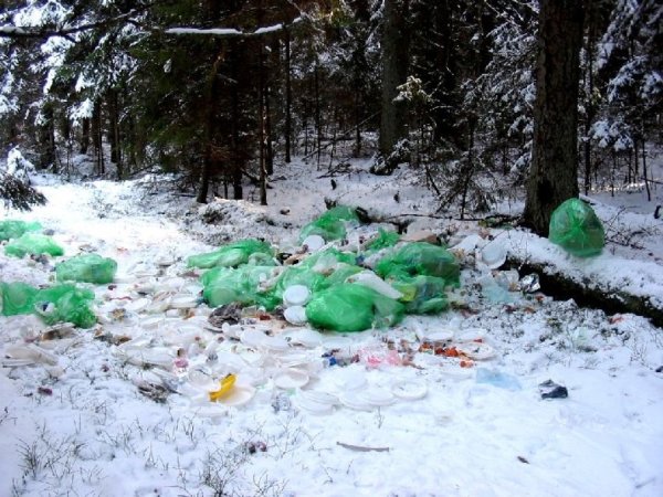 Мусор на природе зимой