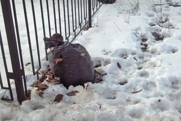 Мусорный пакет на снегу